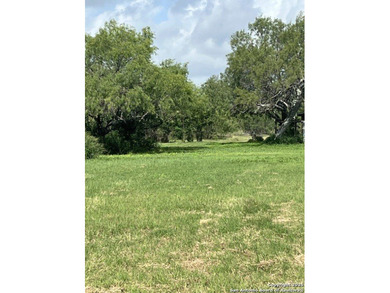 (private lake, pond, creek) Acreage For Sale in Jourdanton Texas