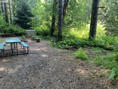 Lake Lot For Sale in Clatskanie, Oregon