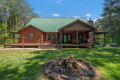 Rustic Log Home In Poplar Ridge That Will Sleep A Crowd - photo 4