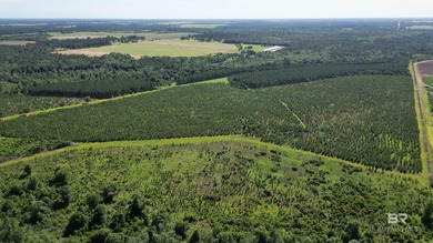 (private lake, pond, coastal) Acreage For Sale in Elberta Alabama