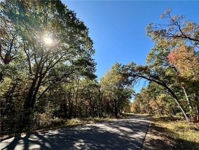 Lake Holcombe Lot For Sale in Holcombe Wisconsin