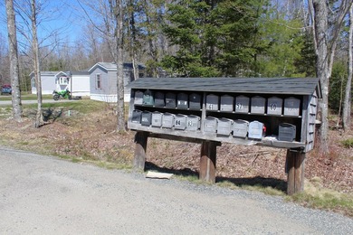 Birchtree Meadows consists of 42 homes and could add up to 6 - photo 12
