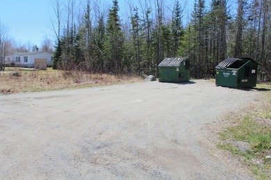Birchtree Meadows consists of 42 homes and could add up to 6 - photo 13