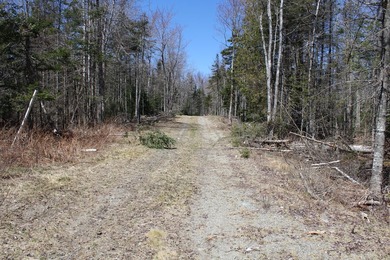 Birchtree Meadows consists of 42 homes and could add up to 6 - photo 15