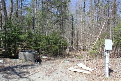 Birchtree Meadows consists of 42 homes and could add up to 6 - photo 16