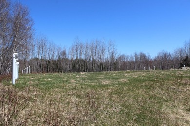 Birchtree Meadows consists of 42 homes and could add up to 6 - photo 17