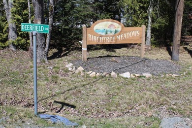 Birchtree Meadows consists of 42 homes and could add up to 6 - photo 18