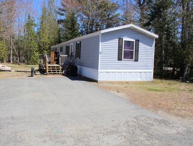 Birchtree Meadows consists of 42 homes and could add up to 6 - photo 20