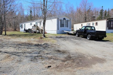 Birchtree Meadows consists of 42 homes and could add up to 6 - photo 21