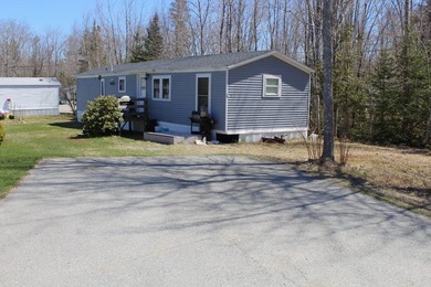 Birchtree Meadows consists of 42 homes and could add up to 6 - photo 24