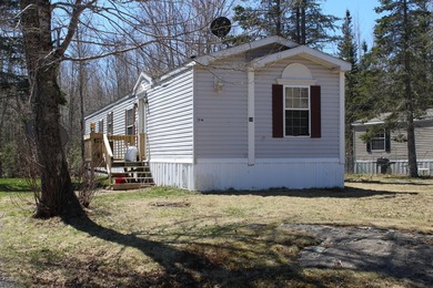 Birchtree Meadows consists of 42 homes and could add up to 6 - photo 26