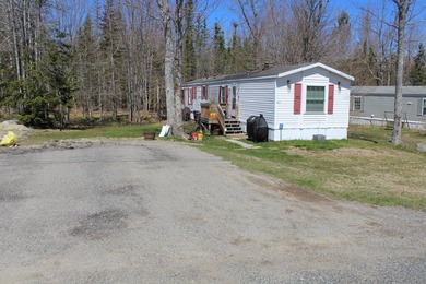 Birchtree Meadows consists of 42 homes and could add up to 6 - photo 30