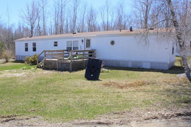 Birchtree Meadows consists of 42 homes and could add up to 6 - photo 32