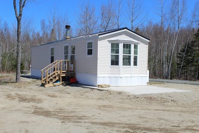 Birchtree Meadows consists of 42 homes and could add up to 6 - photo 33
