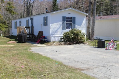 Birchtree Meadows consists of 42 homes and could add up to 6 - photo 35