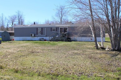 Birchtree Meadows consists of 42 homes and could add up to 6 - photo 36