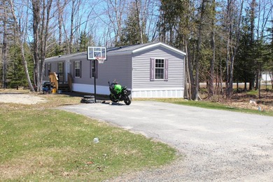 Birchtree Meadows consists of 42 homes and could add up to 6 - photo 39