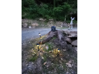 GLAMPING! On Another Level!! Call Dottie! - photo 13
