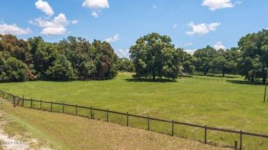 (private lake, pond, creek) Acreage For Sale in Pomona Park Florida