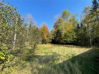 Lake Teal Lot For Sale in Hayward Wisconsin