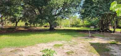Rare Opportunity - 3 Bedroom, 2 Bath Home on 2.61 Acres. Looking - photo 33