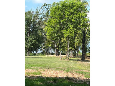 Discover your dream homesite at 665 Calmwater Ct, nestled just - photo 8