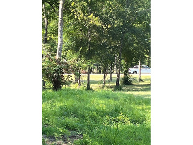 Discover your dream homesite at 665 Calmwater Ct, nestled just - photo 9