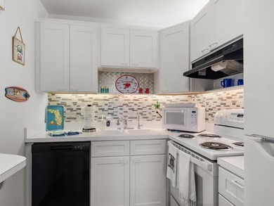 Enjoy easy Florida living in the sought-after Vista Royale 55+ - photo 6