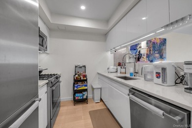Unit 5L at Flushing Commons is a bright, north-facing 2-bedroom - photo 5