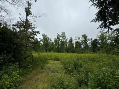 Clearwater Pond Acreage For Sale in Industry Maine