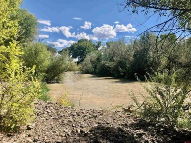 Uncompahgre River - Delta County Acreage For Sale in Delta Colorado