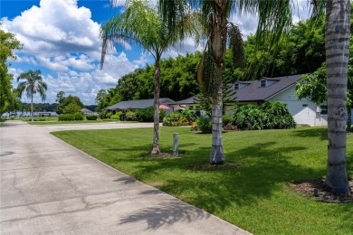 Lake Home For Sale in Mount Dora, Florida