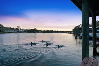 WATERFRONT - DEEP WATER BOAT DOCK - NO HOA - DOLPHINS Discover
