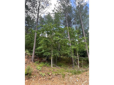 Broken Bow Lake Lot For Sale in Broken Bow Oklahoma