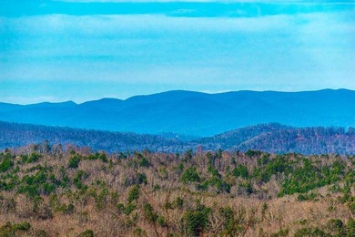 Lake Blue Ridge Lot For Sale in Morganton Georgia