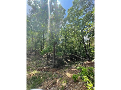 Broken Bow Lake Lot For Sale in Broken Bow Oklahoma