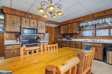 Looking for that perfect slice of Ely lake life? This 4-bedroom - photo 12