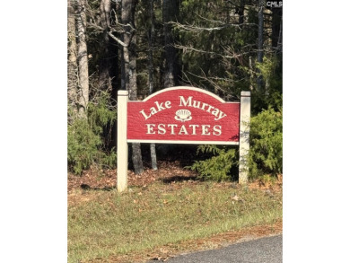 Lake Acreage For Sale in Batesburg, South Carolina