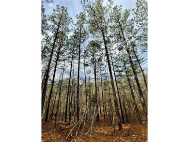 Broken Bow Lake Lot For Sale in Broken Bow Oklahoma