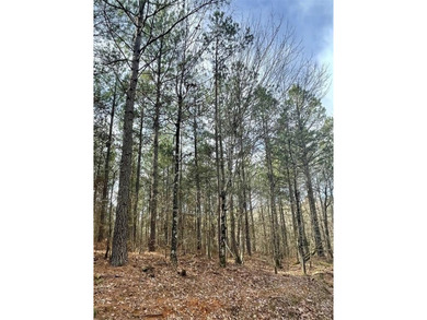 Broken Bow Lake Lot For Sale in Broken Bow Oklahoma