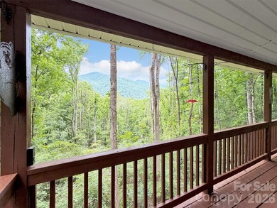 Come experience this beautifully updated mountain-view home in - photo 4