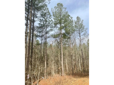 Broken Bow Lake Lot For Sale in Broken Bow Oklahoma