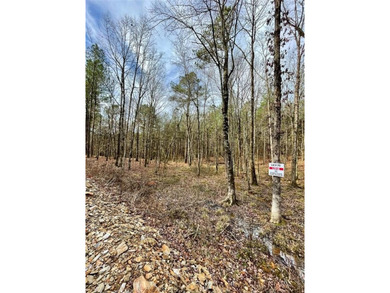Broken Bow Lake Lot For Sale in Broken Bow Oklahoma