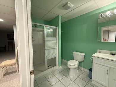Don't miss this stunning all-brick home in Medinah Meadows - photo 35