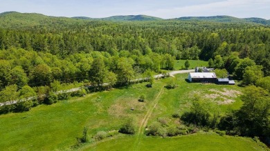 (private lake, pond, creek) Home For Sale in Hillsborough New Hampshire