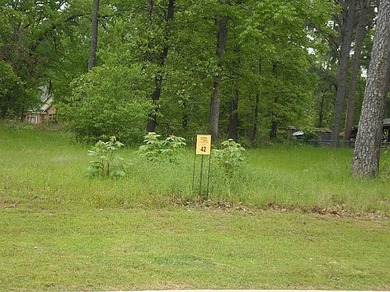 Mineral Rights Are Reserved. Beautiful West Shreveport Lot - photo 1