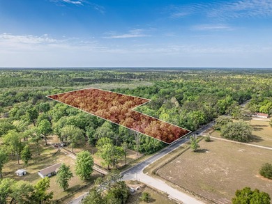 Nestled on over 17 acres this charming log home offers the - photo 9