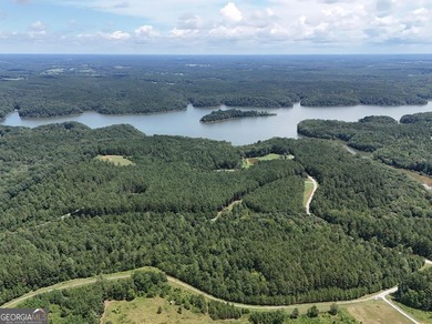 Lake Russell Acreage For Sale in Elberton Georgia