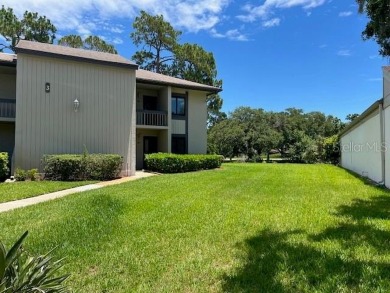Lake Condo For Sale in Oldsmar, Florida
