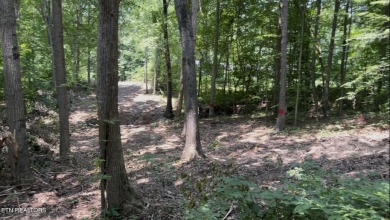 Douglas Lake Acreage Sale Pending in Dandridge Tennessee